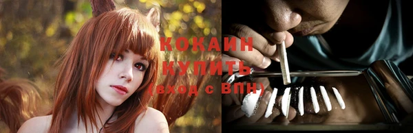 ПСИЛОЦИБИНОВЫЕ ГРИБЫ Алексеевка