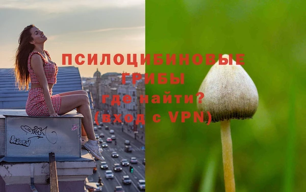 ПСИЛОЦИБИНОВЫЕ ГРИБЫ Алексеевка