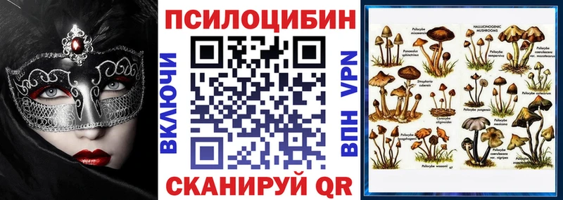 Псилоцибиновые грибы Psilocybe  Ликино-Дулёво 